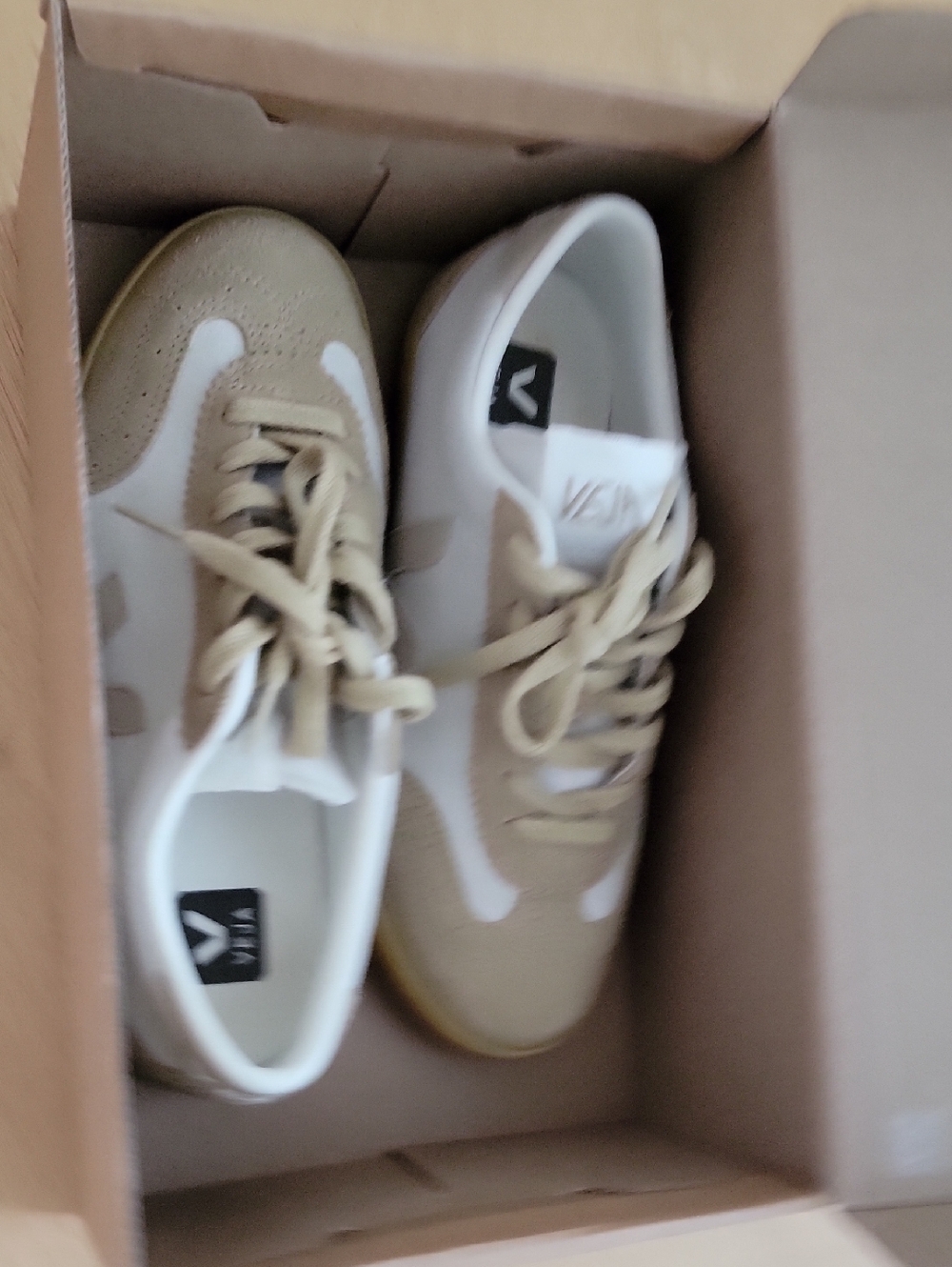 Veja Low-Profile Sneakers in Beige and White